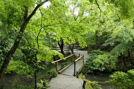 初夏の三重・奈良・京都♪　Vol.235 ☆青もみじの美しい「圓光寺」♪