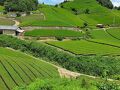 木津・加茂の旅行記