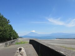 ゴエモン駿河旅　「オクシズ」夢の吊り橋→焼津で美食とお風呂三昧→家康ゆかりの地を巡る　Part4