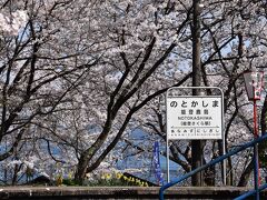 能登鹿島駅の桜2022～桜トンネルに停車し海が見える「のと鉄道」の駅～（石川）