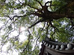 広島まち散歩　宇品島と２つの稲生神社