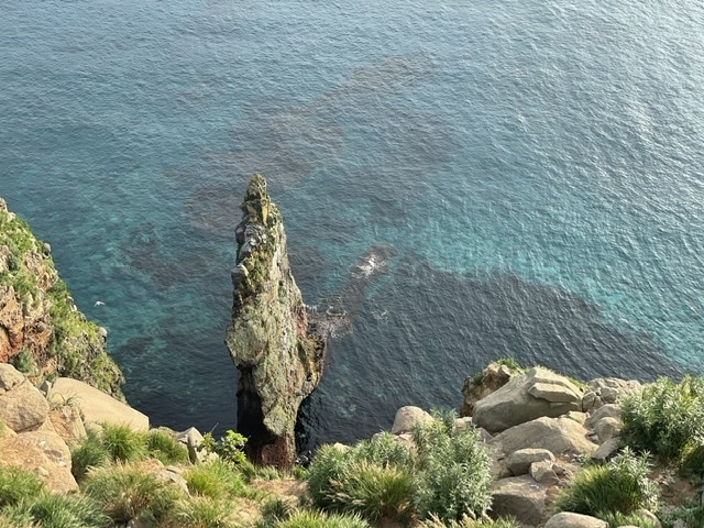 夏の焼尻島、天売島旅行　その1  ラストイヤーの札幌ドームでファイターズvsマリーンズ戦観戦 <br />https://4travel.jp/travelogue/11768294<br />からの続き、<br /><br />天売島、焼尻島旅行その2、いよいよ焼尻島と天売島に上陸です。