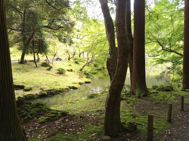 梅雨時であった6/18（土）、成田山新勝寺へ行きました。<br /><br />主目的は古いお札を返納する事ですが、裏の目的は鰻（ウナギ）を食べる事でした。<br />土曜日なので人出が多く、11時ごろに鰻屋に到着して予約すると、２時間待ちの番号札を受領。<br />時間があるので、新勝寺参拝後に、裏の公園も散歩しました。<br />公園内にある書道美術館も見学したかったのですが、鰻の予約時間が迫ってきたので断念。<br /><br />久しぶりの成田山でしたが、それなりに長距離の散歩となりました。