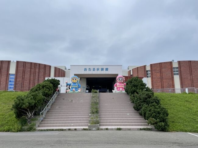 帰省中の娘家族とおたる水族館へ。前日のテレビで朝里の美味しそうなかき氷のお店を紹介しており、そこからスタートすることに。<br /><br />小樽水族館から天狗山、帰りは温泉に入る日帰り小樽ツアー。<br />小樽のお寿司と、小樽の新倉屋にも寄ります。