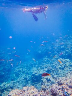 ゆるゆる久米島02 : 涙の二重苦。敗北のシュノーケリング。やっぱお魚さんは撒き餌がお好き(ノД`)