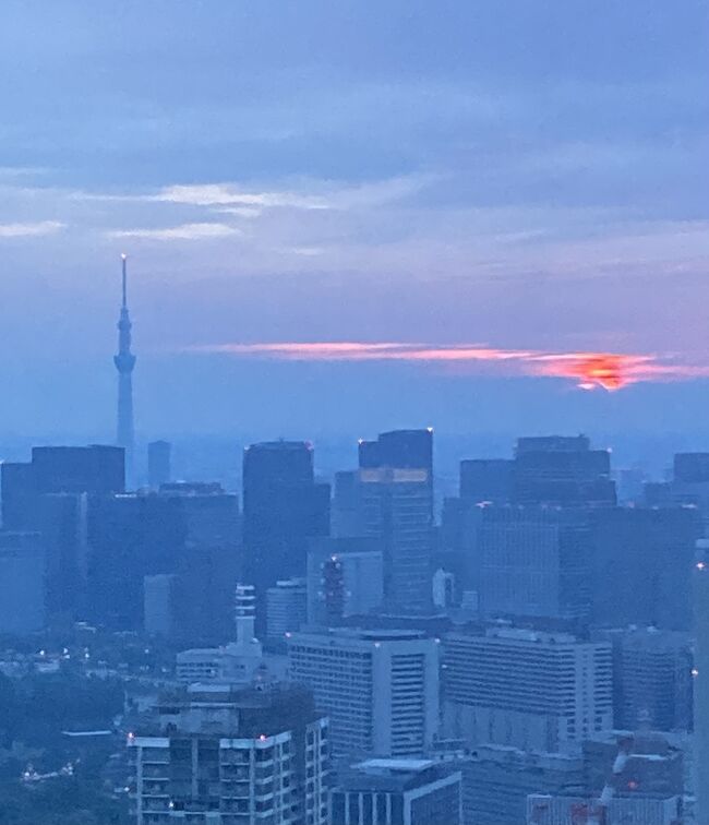 今年も六本木通い。今年は大冒険。ザ、リッツカールント東京に泊まる　まさかの　　あの600億軍団　パリ、サンジェルマンの選手にお遇いして。　