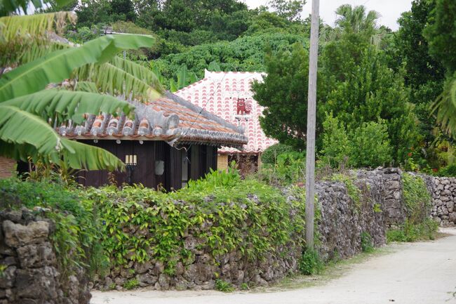 ２０１８年に石垣島へ行った旅行記です。<br />八重山諸島の３つの島を巡るコースに参加して、午前中、西表島と由布島を訪れました。<br />午後からは石垣島のすぐ隣にある竹富島を訪れます。<br />　竹富島は大きな島ではないので、歩いても中心部だけなら見て周れますが、<br />せっかく行くなら出来る限り周りたいので、レンタサイクルを借ります。<br />今回のコースには予めレンタサイクルが付属しているので、港から迎えのバスで<br />中心部の店まで送り込まれ、そこで自転車を借りて観光に出掛けます。<br />すべて込み込みだと、余計な時間が取られなくてスムーズです。<br />　竹富島の中心部は重要伝統的建造物群保存地区に指定されていて、<br />メインの観光地になっています。<br />この家並みを見ながら水牛車に乗るのが、人気です。島の観光名所には<br />駐輪場が設置されているので、止める場所には困りません。<br />島は海岸に向かって下り坂になるので、浜に行ったら帰りは上りを覚悟です。<br />集落を囲む環状道路以外は、白い砂の道です。想像と違わぬ風景が信じられない島です。<br />「こんな風景の島がまだあるなんて。」そう思える幸せな半日でした。<br />　その晩、天気が良かったので、バンナ公園にある「エメラルドの海を見る展望台」に<br />夜景を見に行きました。<br />すると、夜景よりも星空の方が素晴らしくて、とうとう「国立天文台VERA石垣島観測局の電波望遠鏡」を見に行ってしまいました。<br />思いもかけないスケールの大きなプロジェクトを知り、興味深い夜となりました。