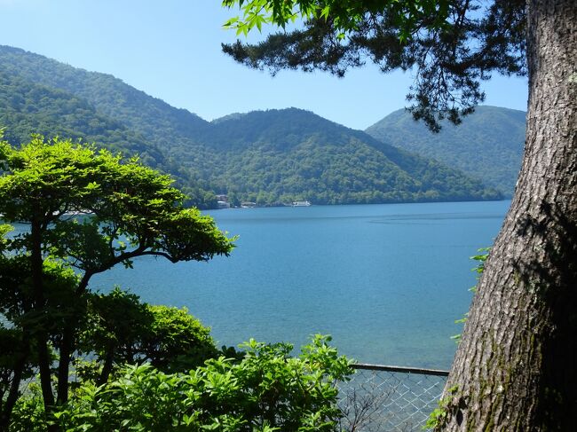 出来れば桜か紅葉の季節に乗りに行きたかったわたらせ渓谷鐡道線ですが、ある日TVを見ていたら、車の運転が大好きで列車旅を好まないオットが興味津々ではございませんか。<br />これはどーにか話を纏めるしかないと・・<br />わたらせ渓谷鐡道に沿って走る国道122号線で日光へと繋がっていると知り、前回宿泊した「中禅寺温泉 湖上苑」さんと、またまた奥日光ハイキンgu～☆をセットにお出掛けしてきました。<br /><br />栃木県の「第３弾 県民一家族一旅行」の期間が延長になり、その恩恵も受けられることになりました。<br /><br />☆.・*・.☆.・*・.☆.・*・.☆彡<br /><br />日　程　2022.6.30～2022.7.1<br />お　宿　中禅寺温泉 湖上苑<br />同行者　オット<br />旅　程　１日目...わたらせ渓谷鐡道普通列車乗車<br />　　　　２日目...奥日光湯滝周辺ハイキンgu～☆<br />　　　　<br />１泊２日ですが３部構成になってしまいました。<br />この旅行記は【２冊め：中禅寺温泉「湖上苑」宿泊編】です。<br />【１冊め 】<br />自宅⇒桐生駅～上神梅駅(わたらせ渓谷鐡道)乗車⇒二荒山神社中宮祠参拝⇒お宿<br />【２冊め 】<br />中禅寺温泉「湖上苑」宿泊<br />【３冊め 】<br />お宿⇒奥日光ハイキンgu～☆⇒日光そば処「たくみ庵」⇒自宅