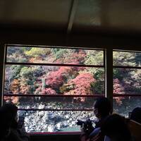 錦繍の京都でのんびり一人旅　第４日