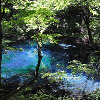 青森への旅（2）～白神山地・十二湖巡り～