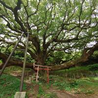 香川西部のみとよの絶景に会いに行く（香川愛媛たび①）