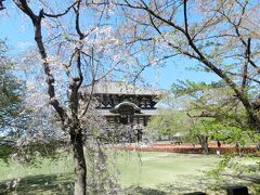 町子さん、ようこそ奈良へ（2021年4月）【前半／ランチ～東大寺など】