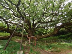 香川西部のみとよの絶景に会いに行く（香川愛媛たび①）