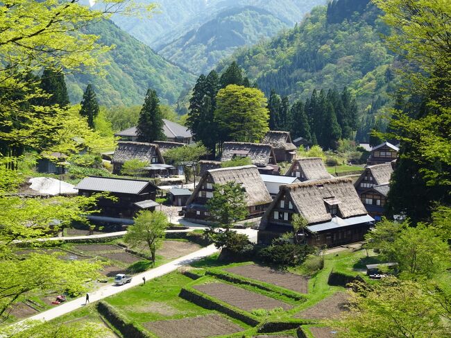 今年のＧＷは北陸をまわってきました。福井、石川、富山、そして岐阜の白川郷へ。羽田での前泊を合わせると５泊６日の旅です♪。たっぷり観光を満喫し、地元グルメも楽しみました。毎日しっかり歩き、少しは運動不足を解消できたかな（笑）？！。今回は「白川郷＆五箇山へ！」編です。<br /><br />＜飛行機＞<br />　　ＪＡＬ　羽田＝小松<br /><br />＜ホテル＞<br />　　５/３　羽田エクセルホテル東急<br />　　５/４　金沢東急ホテル<br />　　５/５　天然温泉　富山　剱の湯　御宿野乃<br />　　５/６　ハイアットセントリック金沢<br />　　５/７　ANAホリデイ・イン　金沢スカイ<br /><br />＜スケジュール＞<br />　　５/３　羽田エクセルホテル東急へ、「ＧＧＧ，ＣＡＦＥ」でカフェ<br />　　５/４　JALで小松空港へ、永平寺へ、「永平寺の館　雲粋」でランチ、東尋坊へ、金沢東急ホテルへ、「マレ・ドール」でディナー<br />　　５/５　「マレ・ドール」で朝食、白川郷＆五箇山へ、