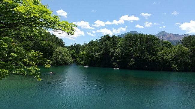 夏休みの家族旅行<br />近隣の県民割利用<br />子供　小4.小2.年長<br />二泊三日　初日五色沼、2日目猪苗代湖&amp;野口英世記念館、3日目会津若松、鶴ヶ城