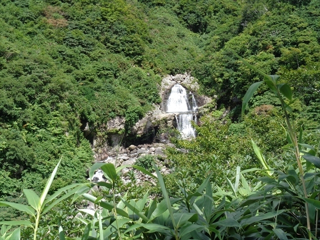 　いくつかの登山道がある鳥海山．7月には湯の台コースから鳥海湖を経て伏拝岳から心字雪渓を下る全長13km，標高差1200mのルートを周回したのですが，8月下旬のこの日は，遊佐町の二ノ滝ルートから登り，千畳ヶ原を経て，万助道に入り，渡戸を経て戻ってくるというコースで周回することにしました．このコースは，鳥海山の山頂（新山）まで行こうとするとかなりの長距離コースになりますが，千畳ヶ原までで戻ってくるのであれば，全長13km，標高差1200mと，7月の心字雪渓とほぼ同じです．そのため，それ程心配はしていなかったのですが，この日は8月下旬とは言え，まだ連日30℃を超える猛暑が続いていた上，コロナの影響もあってか他の登山ルートと比べると登山道の整備がなされておらず，歩行は困難を極めました．また，予定していた水場での水の補給が出来ず，結果としてコースタイムを1時間以上超えてしまうという結果になり，事前の下調べが重要であることを，改めて知らされた登山になりました．それでも，このコースには沢山の滝があり，滝好きの人にはたまらないコースであることに違いはありません．また，単純なピストンではなく，周回できることも魅力の一つです．