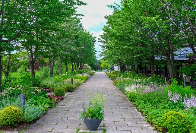 北海道ガーデン街道の中でも、十勝エリアには５つのガーデン（紫竹ガーデン、真鍋庭園、十勝ヒルズ、十勝千年の森、六花の森）があります。　<br />各ガーデンはそれぞれ個性的な顔をもっていて、「まいぷれ」というウェブサイトの&quot;十勝ガーデン街道特集&quot;に、次のような紹介が書かれていました。<br /><br />【紫竹ガーデン】<br />約2,500種の花々が次々と咲き誇り、まるで絵本のような「紫竹ガーデン」。「北海道を花の島にしよう」という志を抱く園芸家 紫竹昭葉氏が手掛け、紫竹おばあちゃんの庭としても有名。<br />【真鍋庭園】<br />日本初のコニファーガーデンとしても知られる真鍋庭園は、25,000坪に及び日本庭園・西洋風庭園・風景式庭園で構成。50周年を超えた庭造りは奥行きと深い円熟味が魅力。<br />【十勝千年の森】<br />日高山脈のふもとにある「十勝千年の森」。圧倒的なスケールの自然と多彩な庭を楽しむことができる。優れた庭園デザインを表彰する英国のガーデンデザイナーズ協会の日本では初となる最高位の大賞「グランドアワード」を受賞。<br />【十勝ヒルズ】<br />季節ごとに表情を変える花々や、野菜や果樹などをテーマにしたガーデンが楽しめる「十勝ヒルズ」。園内にあるレストランでは、園内で収穫された野菜や果物を使用するなど、食材にこだわったメニューが人気！<br />【六花の森】<br />十勝を代表する老舗菓子店の六花亭が運営するガーデン「六花の森」。山岳画家、坂本直行が六花亭の包装紙に描いた北海道の山野草が、四季折々、100,000平方メートルの敷地に咲き誇ります。広大な敷地内には美術館やレストランなどがあり食事も楽しむことができる。<br /><br />それぞれ魅力があり、どこを訪れるか迷いましたが、「六花の森」、「紫竹ガーデン」そして時間的に可能だった３つ目のガーデンは「十勝ヒルズ」に決めたのでした。