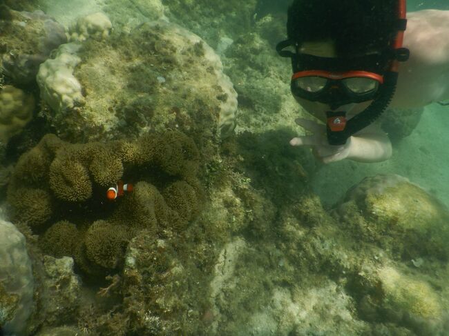 コロナ禍3度目の夏も宮古島へ行ってきました☆<br />まだまだwithコロナ。新生活様式を実践しながらの旅行です。<br /><br />コロナ禍でANA仙台~那覇便がなくなってしまったので、<br />仙台~関空:ピーチ<br />関空~宮古島:ANA<br />で行ってきました^^<br />ANAの仙台~沖縄便がなくなったのは困るわ。。。。<br />ピーチの仙台~沖縄便あるけど、長時間、激狭ピーチに乗りたくない。。<br /><br />4度目の宮古島ですが、調べていると、まだまだ行ってないところがいっぱい!<br />コロナ禍でレンタカーが足りないって報道を見て、航空券予約と同時に仕事で利用しているニッポンレンタカーへ即予約。<br />レンタカー代も高騰しているようですが、普段の価格で予約出来、大変助かりました(*^^*)<br /><br />ホテルはいつもと同じオアシティ共和<br />いつもの和室で快適に過ごせました。<br />今回は大浴場に入りました。サウナも有り更に気に入ってしまいました^^<br /><br />2日目:ホテルの部屋で朝食を食べ新城海岸へ。<br /> ここは駐車場、トイレ、売店が揃っていてシュノーケルも楽しめるので、お気に入りのビーチ☆<br /> 夕方まで、たっぷり遊んで、帰りにAコープへ。以前ここでマンゴーがお買い得だったので寄ってみたけど、今回は高かった(>_<)<br />昨日は19時で夕飯を食べる所がなかったので、今日は18時にDOUG’S BURGERへ。早めの時間だったので、予約なしで、すぐに入れました(*^^*)<br />ボリュームたっぷりのバーガーに満足☆<br />そのあとサンエーでお買い物してホテルへ。<br /><br /> <br /> <br />往復<br />仙台~関空:ピーチ:48,530円 <br />関空~宮古島:ANA:いっしょにマイル割:10,000マイル+65,840円(二人分)<br /><br />レンタカー:ニッポンレンタカー:5日間保険込:19,910円<br /><br />ホテル<br />宮古島:オアシティ共和:4泊:58,000円(JTBトラベルポイント全額利用)<br /><br />2日目八重干瀬ツアー:26,700円(じゃらん:ポイント2800円分使用)<br />4日目ゴルフ:松ヶ原ゴルフ4,200円(3人分レンタル込)<br /><br />合計 223,180円(3人分)ー(ポイント△60,800)=162,380円