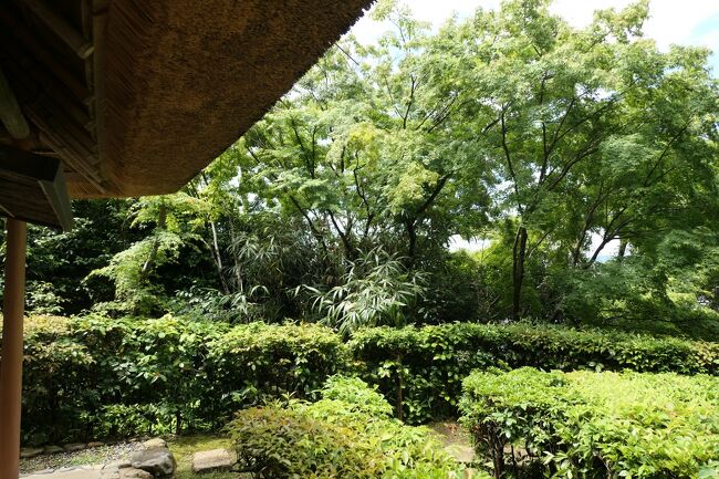 初夏の三重・奈良・京都♪　Vol.261 ☆美しい庭園「金福寺」♪
