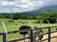 北海道 日帰りで行ってきたニセコ、支笏湖の旅