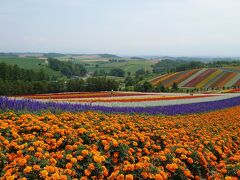 2022年7月　北海道上川・十勝旅行①♪帯広空港～富良野～美瑛♪きれいな花畑と青い池に感動♪