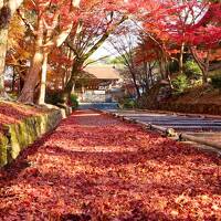 錦繍の京都でのんびり一人旅　第5日(最終日)