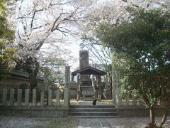 博多駅周辺の寺院を徒歩でまわり、桜めぐり&猫めぐり。