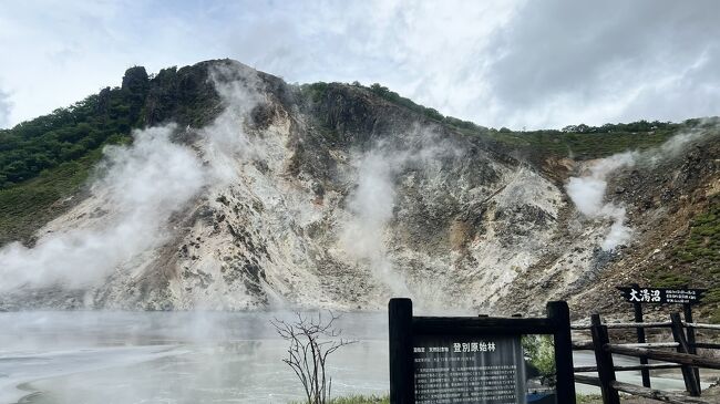 格安航空券とさっぽろ割で道央の一泊旅行に行きました。<br />成田空港から新千歳空港に行き、レンタカーで回りました。<br />１日目は登別観光してから測量山展望台に行ったあと、有珠山ロープウェイに乗って少し散策。<br />その後、洞爺湖を眺めながら札幌まで行き、夜の札幌を楽しんで、札幌に宿泊。さっぽろ割活用しました。<br />翌日、白い恋人パーク、大倉山ジャンプ競技場、さっぽろ羊ヶ丘展望台etsを観光して、夜遅くに帰宅しました。<br /><br />費用はこちら　https://www.instagram.com/reel/CgkuDyGhfK4/?igshid=MDJmNzVkMjY=