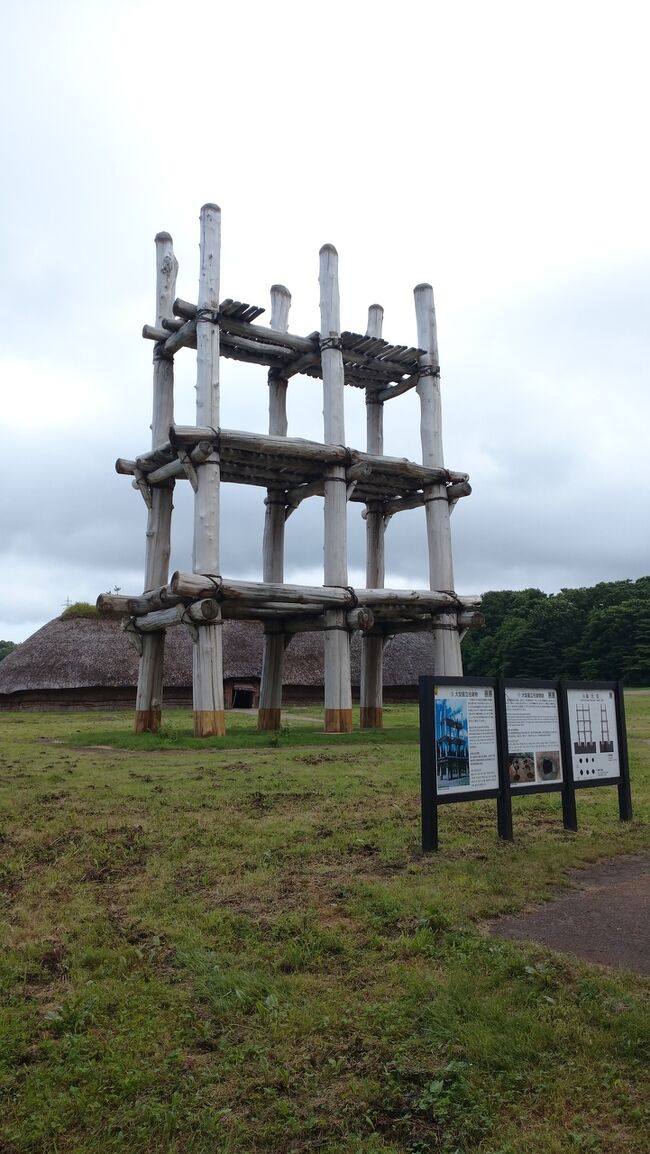 三沢の青森屋に泊まり、蕪島神社、三内丸山遺跡、昼のねぶたを駆け足で巡りました。