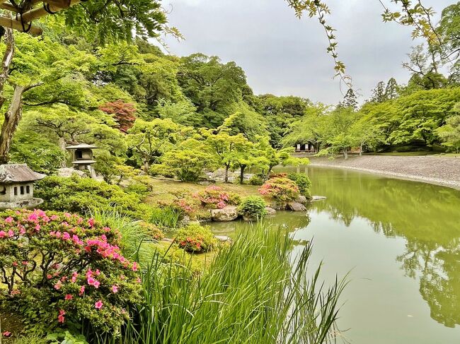 ポンペイ展を見に京都へ。当初は美術館と平安神宮だけの予定でしたが、リニューアルオープンした閑院宮邸跡収納展示館や仙洞御所へもと、予定が次々増えて結局京都で1泊することにしました♪<br /><br />主な日程はこちら↓<br />6/1(水) 閑院宮邸跡～仙洞御所～ホテルインターゲート京都四条新町泊<br />6/2(木) 平安神宮～京都市京セラ美術館「ポンペイ展」～三条周辺町歩き⇒帰宅<br />