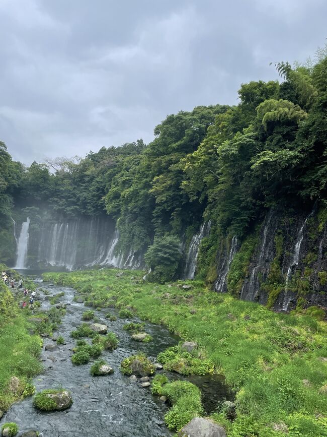 桃＆マンゴー＆ブルーベリー狩り・白糸の滝・富岳風穴　バスツアー