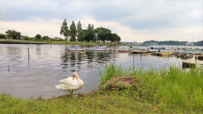 千葉県の松戸市と我孫子市を観光。