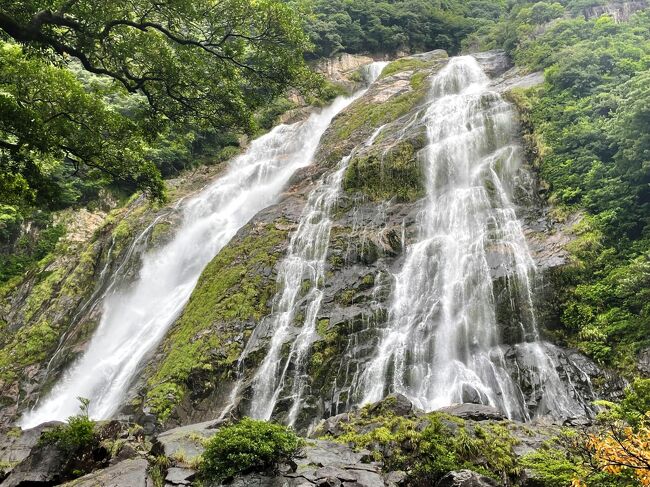 1ヶ月に35日雨が降ると言われている屋久島。(笑)←それだけ雨が多いということなんでしょうね。<br /><br />コロナ禍で海外に行けないのが現状の今、せっかく長期休暇が取れる時期、日本国内で行きたくても行けなかったところに行けるチャンス！<br />北海道民の我が家にとって、沖縄を始めとして南の島は海外旅行に匹敵する位の感覚。^^;<br /><br />沖縄には一度行ってるし、どこに行こうか、と悩んでいる時にたまたま目にしたのが「屋久島」<br />そうだ、昨年は熊野古道を歩いたし、屋久島なら縄文杉トレッキングがあるよね～、とばかりに今年のはじめ早々に飛行機の予約をポチッとな。(笑)<br /><br />メインはトレッキングだけど、７月は梅雨は開けたとは言え台風はいつ発生してもおかしくない時期だし、「１ヶ月に３５日云々」という話もあるくらい雨が多いんだろうから、当然雨がふることを考慮して予定を立ちてなくちゃ。<br /><br />中５日滞在の内、３日はトレッキングに当てたい。（縄文杉・白谷雲水峡・ヤクスギランド）<br />残り１日はちょっと特別な日程を組んでいるので、雨が降っても降らなくても１日は屋久島一周ドライブ＆お買い物に当てられるよね～。<br /><br />なんて、余裕を持った日程だったはずが、初日に縄文杉トレッキングを終えて安心したのもつかの間、2日目３日目とまさかの豪雨警報が出るほどの大雨。^^;<br />それでも一日降りっぱなしというわけでもなかったので、雨の合間を縫ってドライブ＆お買い物の二日間となりました。<br /><br />こちらを参考にしました。<br />　→　https://yakushima.fun/drive/<br /><br />　　　　*****旅の行程*****　　★今回の旅行記<br />　7/15　千歳→福岡　　福岡一泊<br />　7/16　福岡→屋久島　民宿水明荘に6泊<br />　　　　　屋久島到着後、屋久杉自然館へ<br />　7/17　縄文杉トレッキング<br />★7/18　屋久島島内観光<br />★7/19　お買い物<br />　7/20　白谷雲水峡＆ヤクスギランド＆紀元杉<br />　7/21　弾丸「種子島」日帰り旅<br />　7/22　屋久島→鹿児島→伊丹→千歳<br />　　　　　当初屋久島→福岡→千歳の予定が機体トラブルで急遽変更に<br /><br /><br /><br />