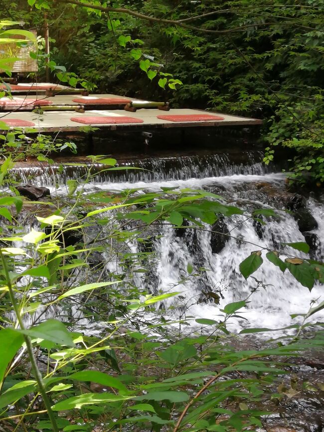 桂離宮は月曜日お休みのため、貴船神社か嵐山のトロッコか?と迷いました。<br />貴船神社の川床の涼を求め、貴船に決定。<br />貴船神社から帰って白川から三条、先斗町と歩きました。