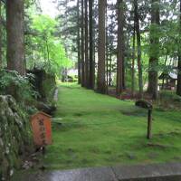 駒ケ根 光前寺の苔の古道