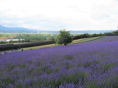 ぼっちトラベラー　ラベンダーを見に3泊4日の一人旅「起・承」編