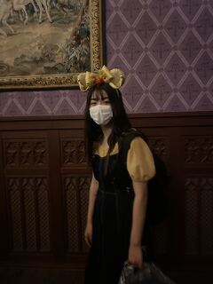 東京ディズニーリゾートに関する旅行記 ブログ フォートラベル 千葉県