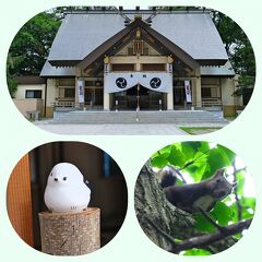 北海道"ガーデン街道"レンタカー旅《6》シマエナガ＆エゾリスを探しに帯廣神社へ♪