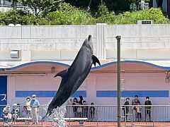 伊豆・三津シーパラダイスで遊び、気多神社に参拝しました