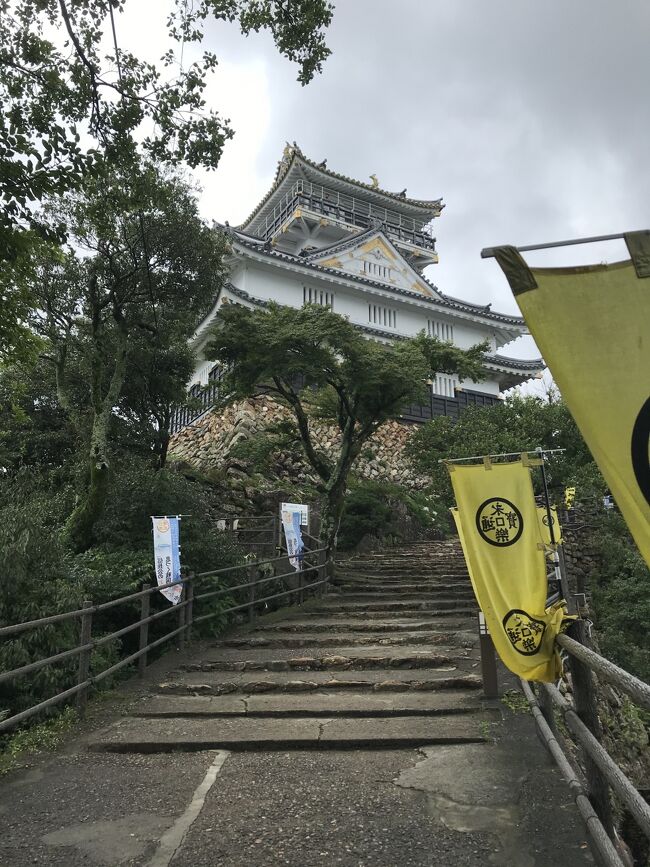 この時期　名古屋でのさだまさしチャリティコンサートや郡上八幡での郡上踊りに参加するため　何度か岐阜城を横目に通り過ぎていた。<br />今年は　郡上踊りもできなくなってしまったので、気になっていた岐阜城に上ってみようということになった。