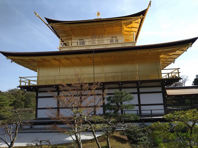 京都市は794年から1000年以上にわたって都が置かれ、歴史の中で日本の中心として繁栄してきた都市です。神社仏閣や史跡、雅な文化が今でも色濃く残現存しており、日本人はもちろん世界中の人々を魅了しています。(東アジア文化都市2017京都実行委員会事務局参照)日本の市では8番目の人口を有しており、40校を超える大学・短期大学のキャンパスがあり、多様な高等教育機関が集積する大学都市としても名が知られています。(Wikipedia参照)個性豊かな数多くの大学や産業支援機関の集積する中で,世界で躍進を続ける企業が新たに出来ています。(京都市参照)<br />京都市にはエリアごとに様々な観光スポットが盛りだくさんです。歴史は足利義満が建立した金閣寺・大政奉還の舞台となった二条城・清水の舞台で有名である清水寺・五重塔で有名な東寺、文化は内陸型大規模水族館で京都水族館・鉄道を楽しく学べる鉄道博物館・京都市と京都精華大学の共同事業で行っている京都国際マンガミュージアム・日本で2番目に歴史のある動物園京都市動物園などがあります。(京都観光navi参照)様々な視点で楽しめるのが京都の魅力です!<br />今回は歴史は清水寺・金閣寺・銀閣寺など、文化は京都タワー・鉄道博物館・映画の村を訪問しました。修学旅行ぶりの京都を満喫する事が出来ました!<br />最後になりますが、私に旅行記を見て京都市に行きたいと思ったきっかけ及び京都市の旅行に行く時の参考となれば幸いです。京都市の旅行が皆様にとって忘れられない思い出になります事を心よりお祈り申し上げます。<br />米本職の関係で一部内容がないので随身更新していきます<br />