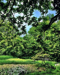 夏のさっぽろ散歩☆北大構内ぶらり・フェルメール展鑑賞・いちごジェラート食べて温泉宿へ行ってきまーす☆