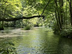 2日目は美しい幽玄の世界を散策！奥入瀬渓流～十和田湖～蔦の七沼めぐり