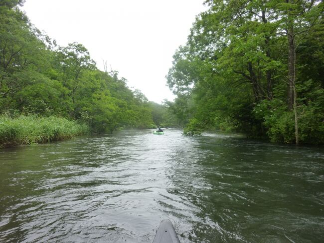 ずっと前に「ブラタモリ」で湿原が紹介されていたのを見てその歴史や自然に深く感動して、いつか行きたいと思っていた釧路湿原。今年実行しました。私たちの知らないところで自然はずっと守られていて、人間なんてほんとに小さいと感じた旅でした。<br />いいガイドさんにも出会えて、幸せでした。<br /><br />二日目　屈斜路湖付近の源流からカヌーで下ります。