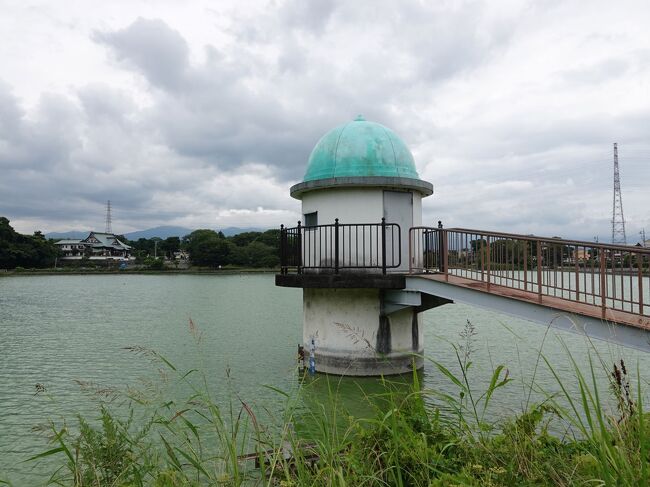 近くまで買い物に行ったので、帰りに寄って池の周りを歩いて来ました。<br /><br />★沼津市役所のHPです。<br />https://www.city.numazu.shizuoka.jp/
