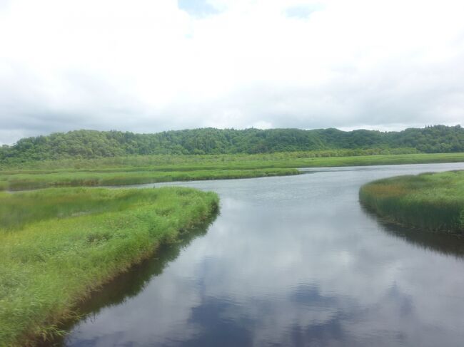 ずっと前に「ブラタモリ」で湿原が紹介されていたのを見てその歴史や自然に深く感動して、いつか行きたいと思っていた釧路湿原。今年実行しました。私たちの知らないところで自然はずっと守られていて、人間なんてほんとに小さいと感じた旅でした。<br />いいガイドさんにも出会えて、幸せでした。<br /><br />四日目厚岸の別寒辺牛湿原へ。こここのガイドさんも素晴らしかった！北海道の大自然と、なんでもやってみる強い生き方に出会ったいい一日でした。