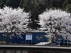 郵便車にも春が来た！のと鉄道能登中島駅2022～桜三昧と中島菜グルメ～（石川）