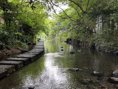 涼を求めて「三島の夏さんぽ」