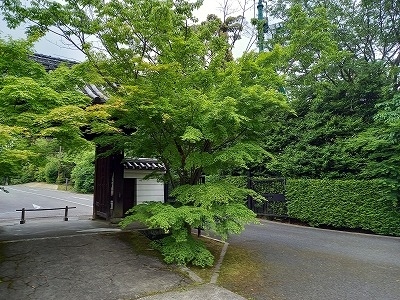 ここまでの旅の様子<br /><br />［旅行記グループ］2022大阪・京都へ一人旅<br />https://4travel.jp/travelogue/11765078#travelogue_groupArea<br /><br />（1）<br />https://4travel.jp/travelogue/11765078<br /><br />（2）<br />https://4travel.jp/travelogue/11765930<br /><br />（3）<br />https://4travel.jp/travelogue/11767428<br /><br /><br /><br /><br />大阪で美術館に行ったあと京都を巡るプラン.　<br />行きたいところ、食べたいモノ、今までの宿題+新規懸案事項<br />もろもろ<br />一人で行って来ました.<br />楽しかった♪<br />--------------------------------------------<br />2022-08-10　UP<br /><br /><br />《おことわり》<br />◆「旅行時期」は実際の旅行日から余裕をもった日付を入力しています<br />◆写真の順番は 時系列でない場合があります　<br /><br /><br /><br /><br />「京都に4泊もしたら宿題、コンプ出来るでしょう～」<br />NO！！<br /><br />今回初めて知ったのですが（土）（日）を営業するためか<br />オシャレなカフェや<br />ケーキ屋さんは（水）休みが多かったり（火曜、木曜と連休含む）パン屋さんも週の半ばで休むところ<br />多いのですネ.......<br /><br />最終日です