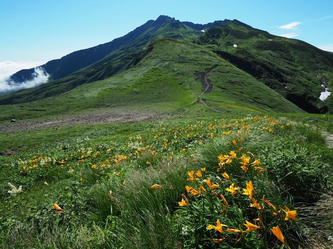 まだ見ぬ東北の自然再発見の旅その2　百花繚乱！鳥海山登山後編　千蛇谷コースで新山へ<br /><br />　御田ヶ原で高山植物を堪能した後は七五三掛（しめかけ）のきつい登りに。ここを超えて外輪山・千蛇谷分岐からは千蛇谷コースに入ります。雪渓を超え、花も少なくなり想像以上にきついダラダラとした登りが続き11時過ぎにようやく鳥海山大物忌神社に到着。昼食後に新山（鳥海山）を目指しますが、危険な岩場が続き…。<br />